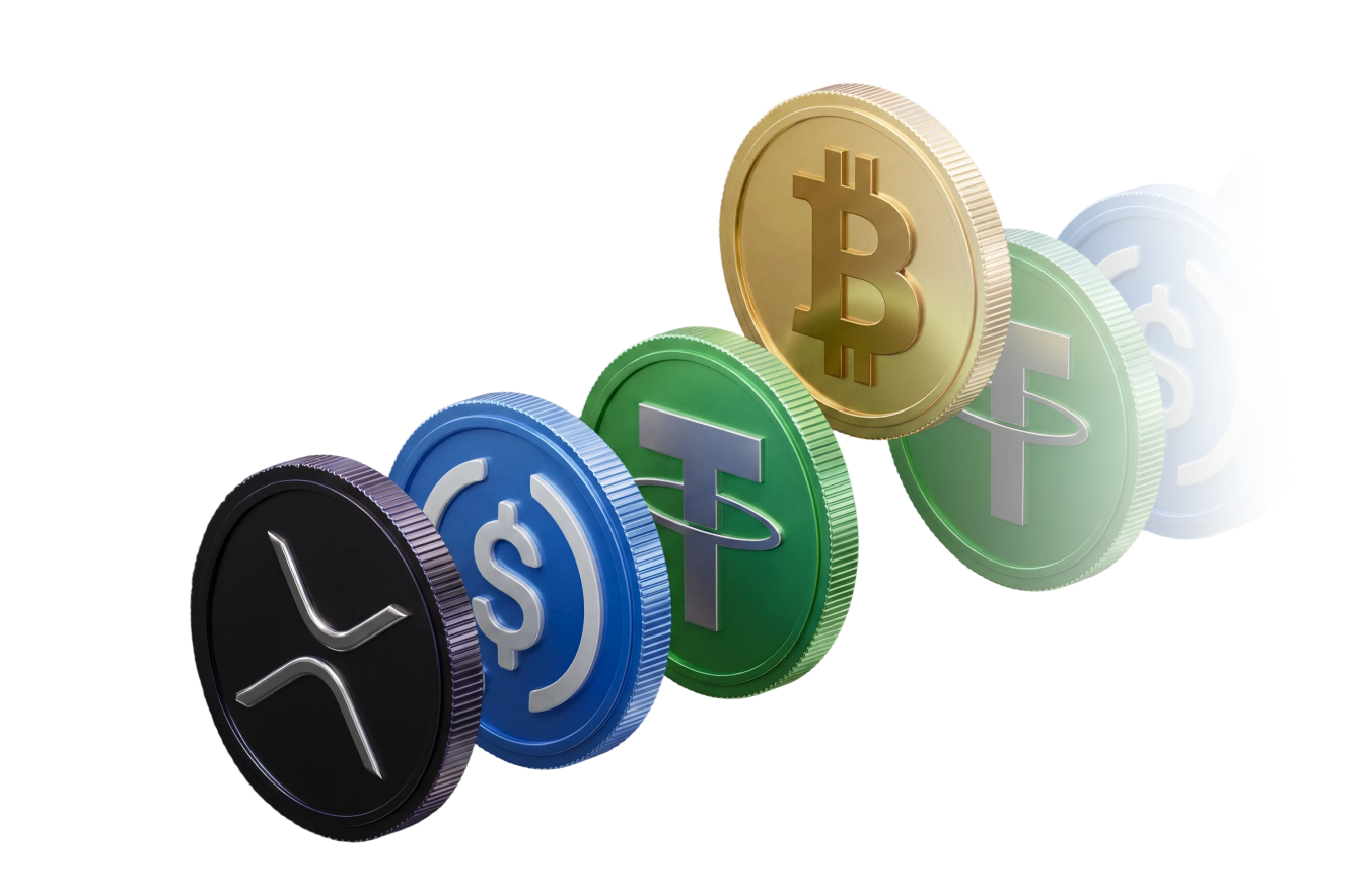 XBO.com - Image