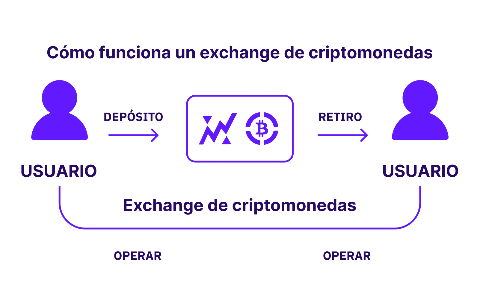 XBO.com - Image