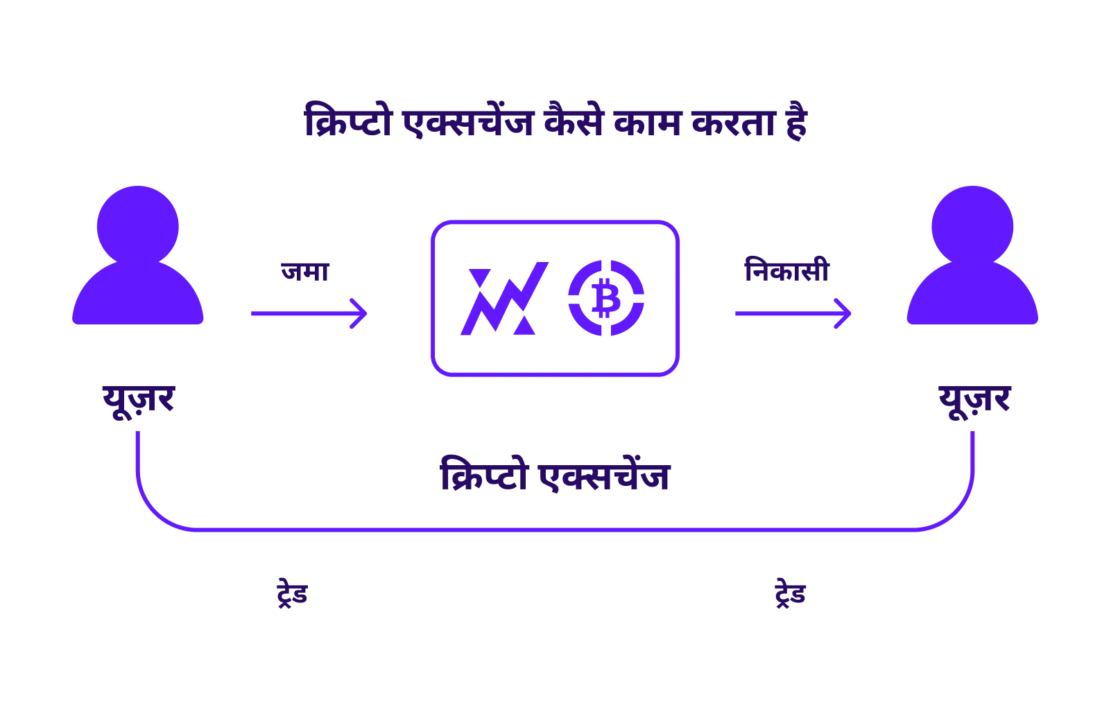 XBO.com - Image
