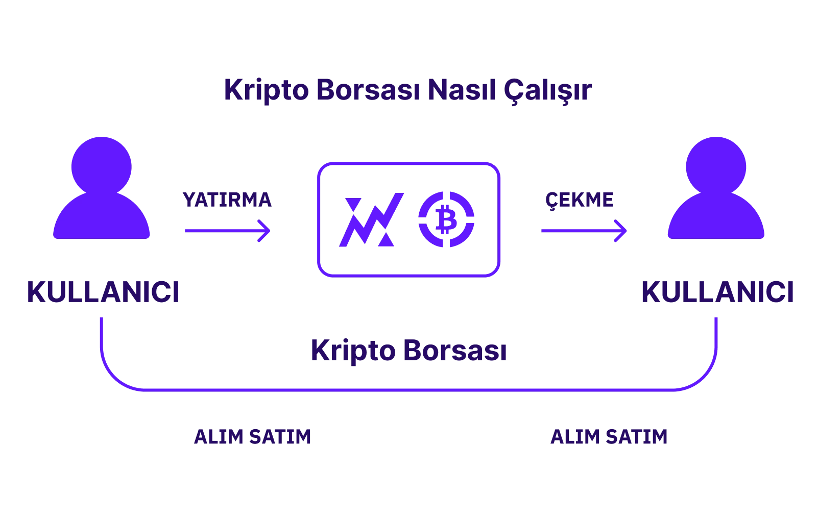 XBO.com - Image